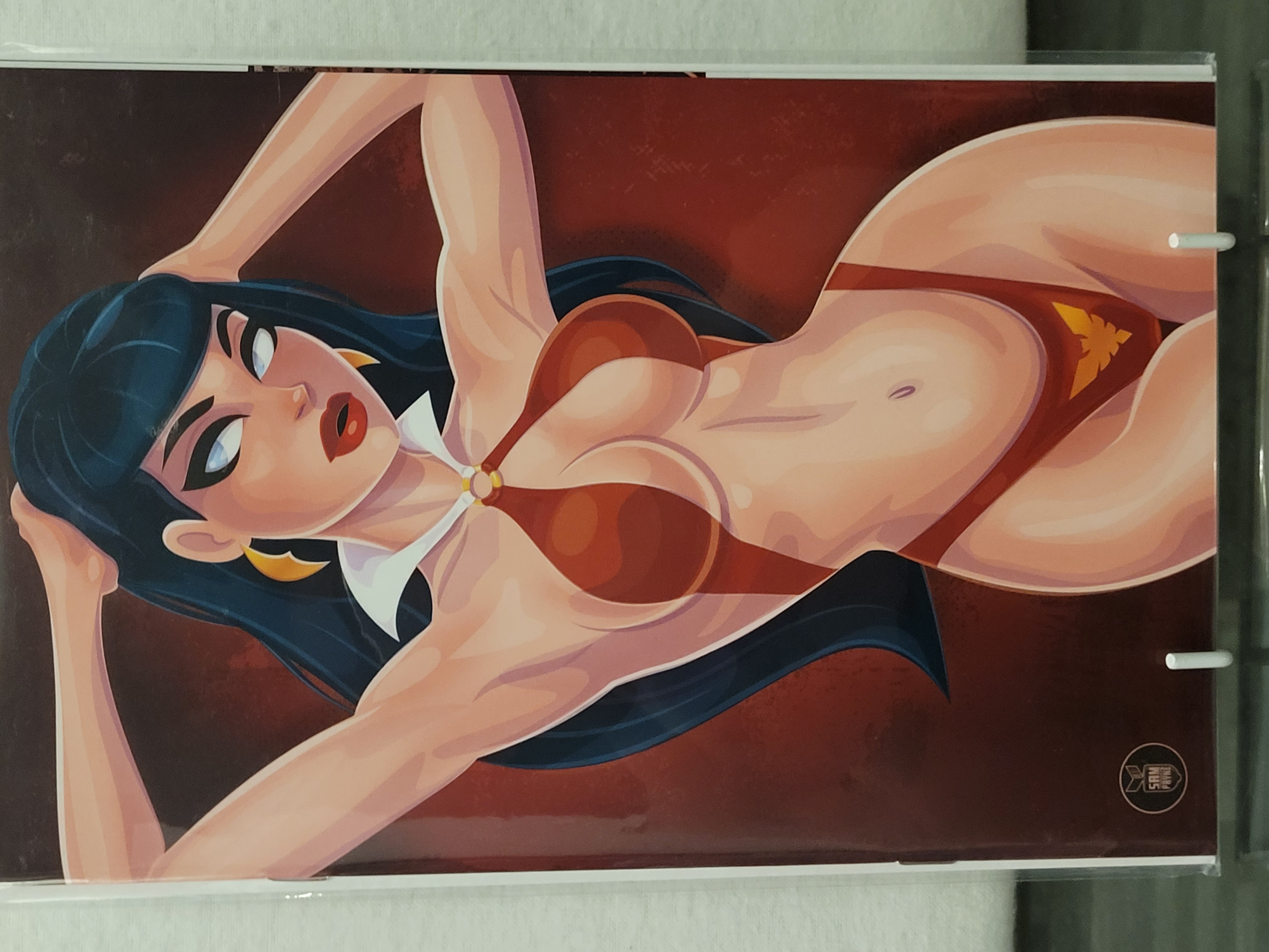 vampirella #10 sam payne virgin ltd 500 exclusive